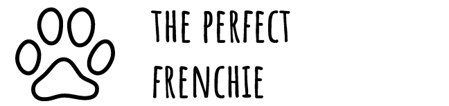 The Perfect Frenchie