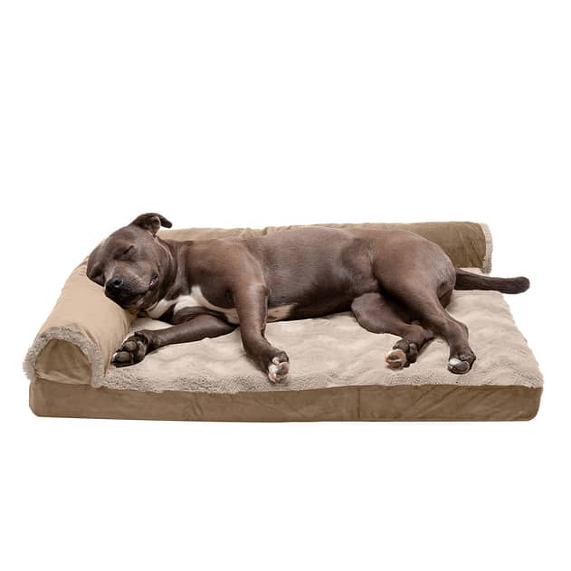 dog bed large