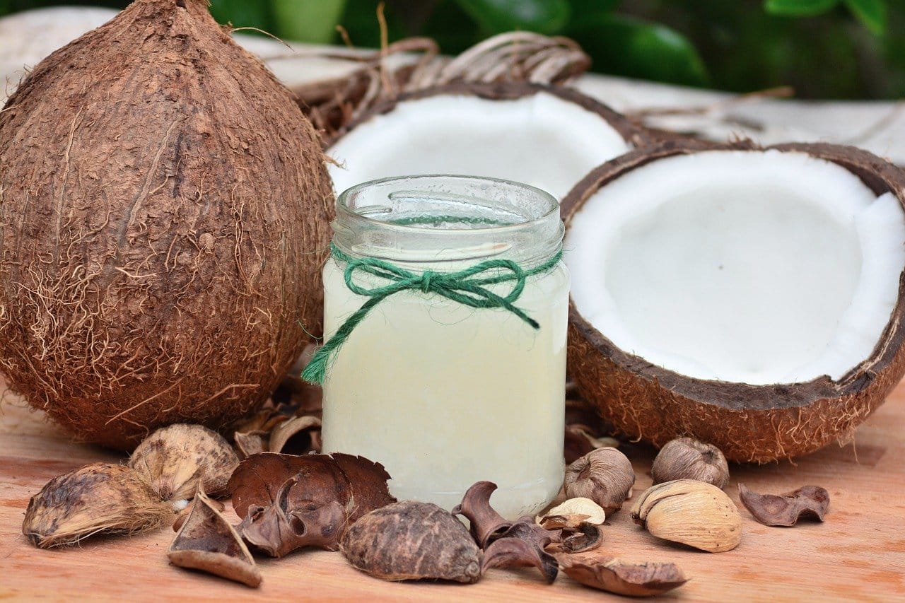 coconut oil for dog's dry nose